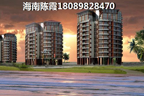 白色橄榄树沈蓓性格