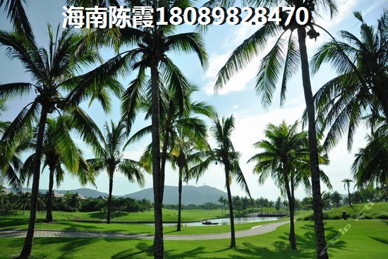 点军区好吃又健康的街头小吃推荐（点军区有什么景点）