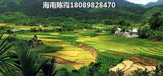 河北中鼎麒麟房地产开发有限公司