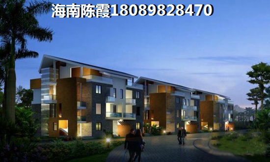 周口郸城绿化景区在哪