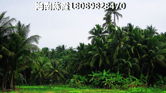 玉林买房touzi怎么样