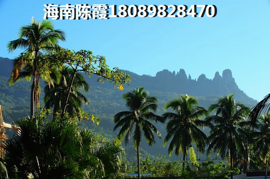 鹤壁摆摊哪里好玩