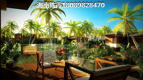 鲜果干果公司起名