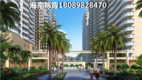 郑州游玩打卡攻略