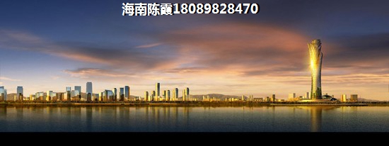 乐东隆鑫诺亚方舟性价比比较高