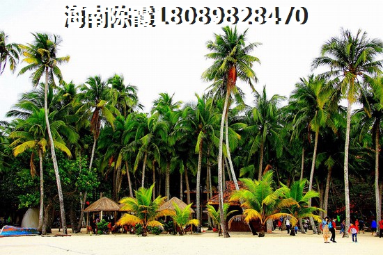 装修如何知道业主电话号
