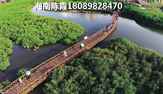 风鳗的做法