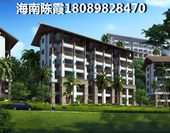 任何风雨中是什么歌